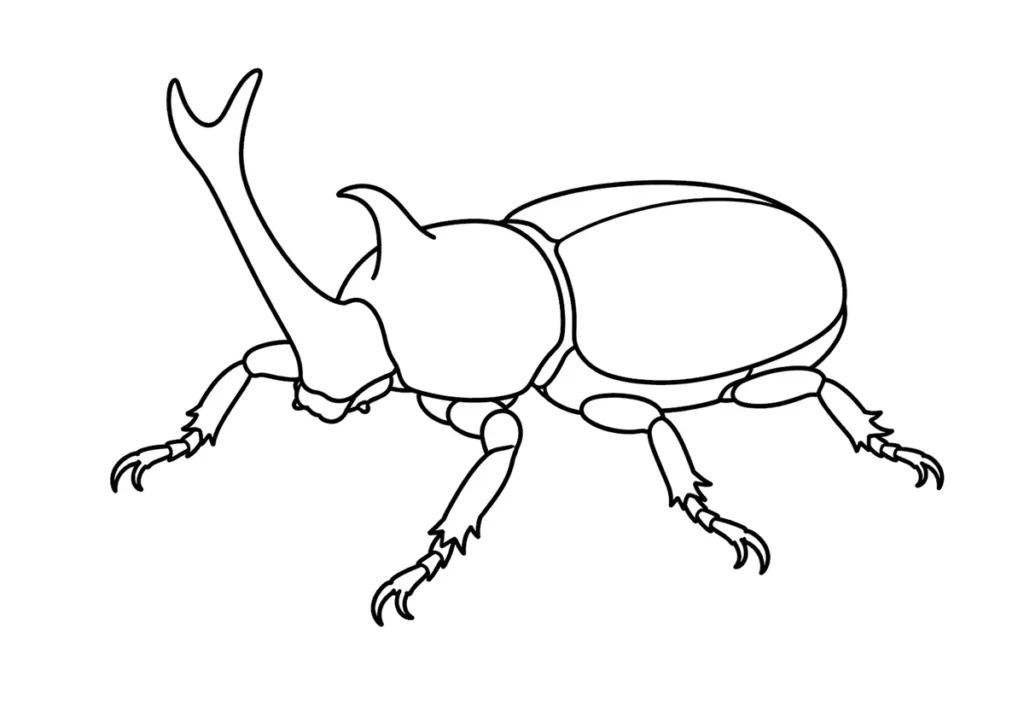 カブトムシのぬりえ