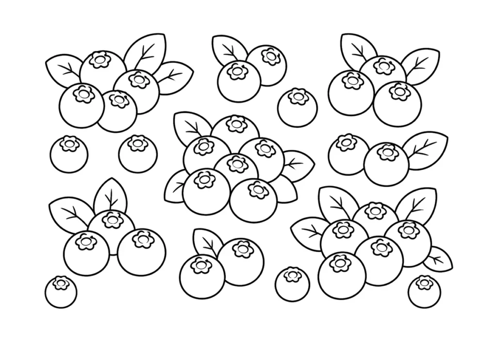 ブルーベリーの塗り絵