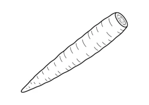 ごぼうの塗り絵