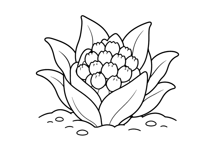 ふきのとうの塗り絵