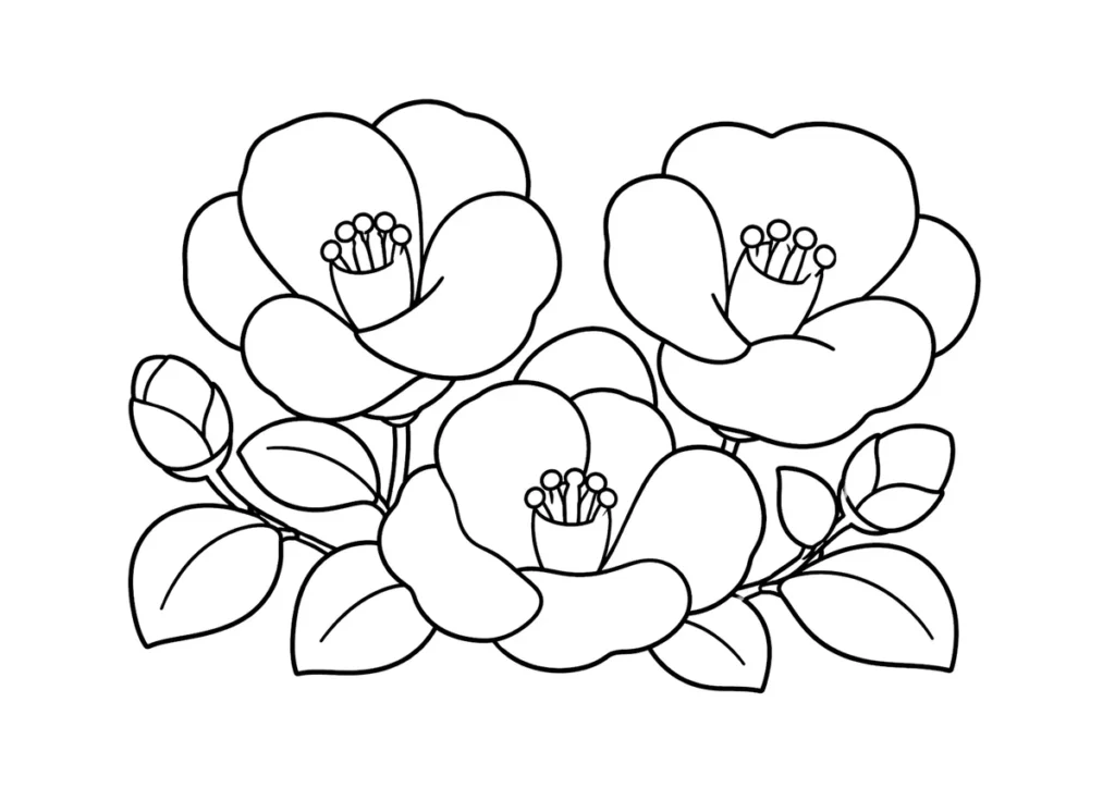 椿の塗り絵