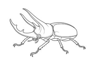 コーカサスオオカブトの塗り絵