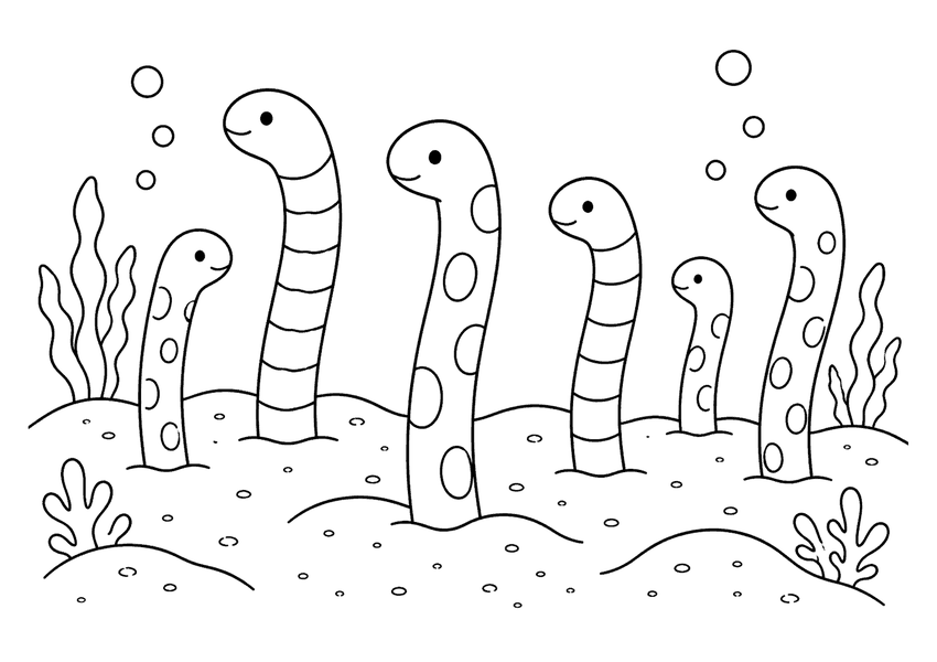 チンアナゴの塗り絵