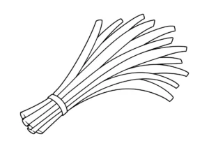 ニラの塗り絵