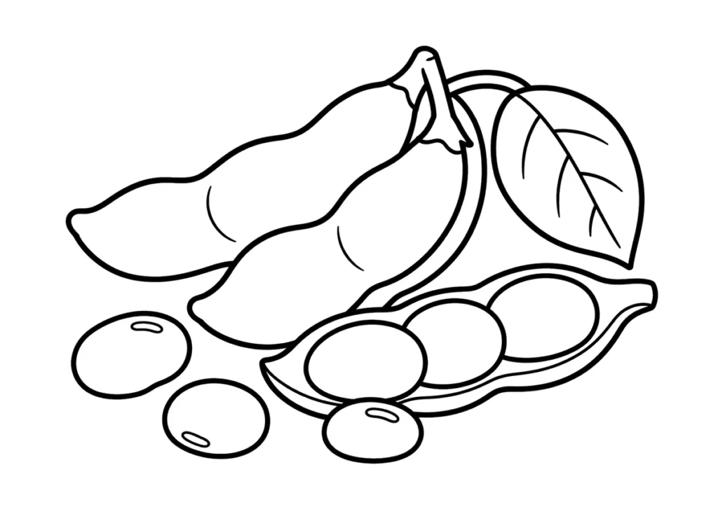 枝豆の塗り絵