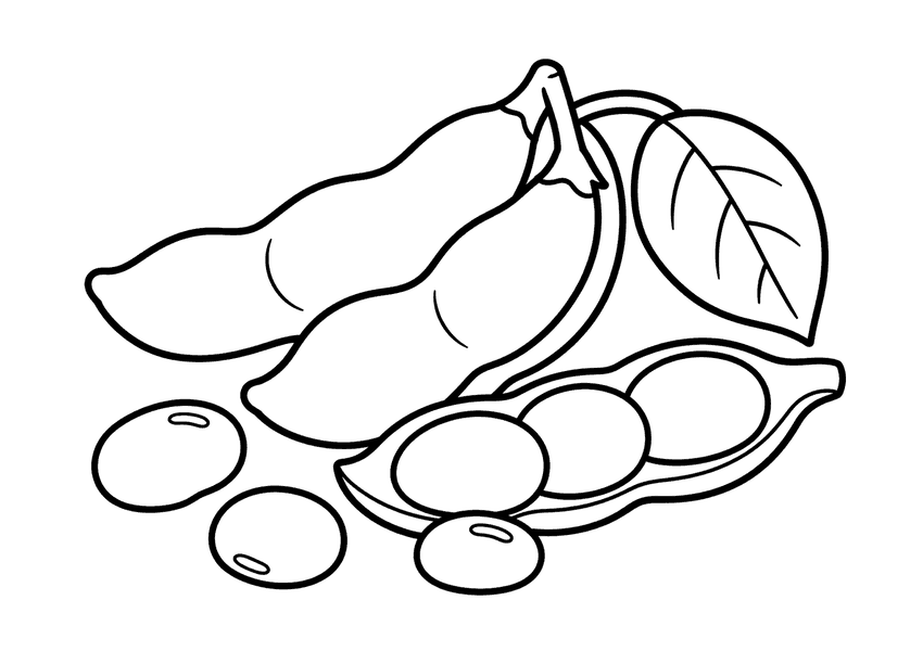 枝豆の塗り絵