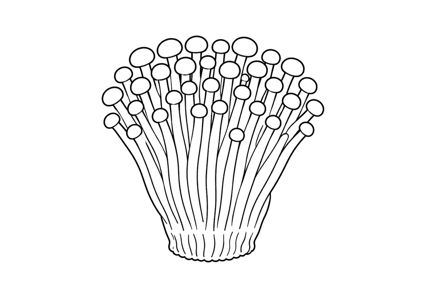 えのきの塗り絵