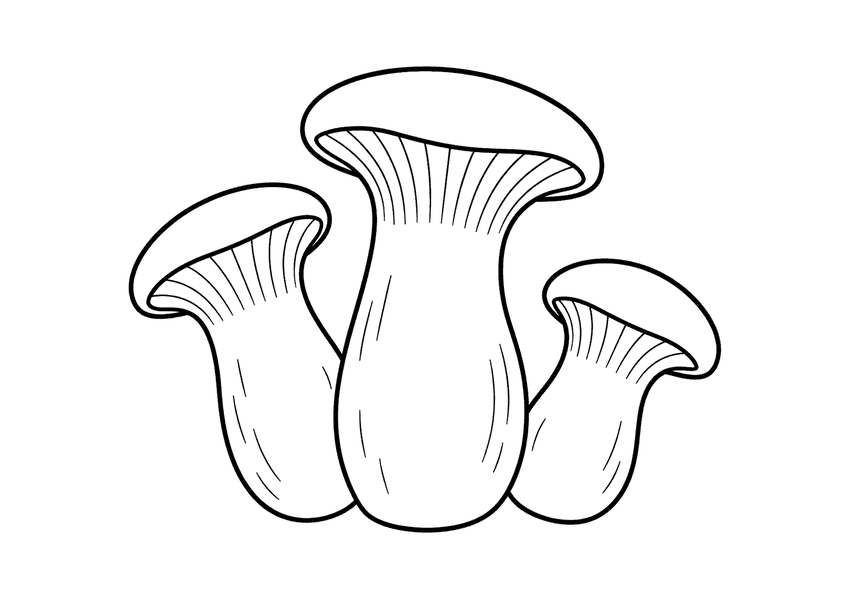 エリンギの塗り絵