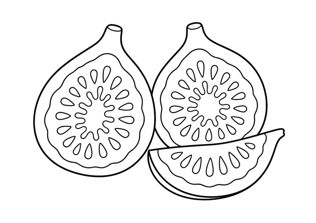 いちじくの塗り絵