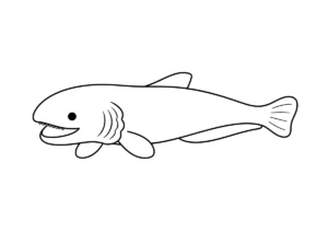 ラブカの塗り絵