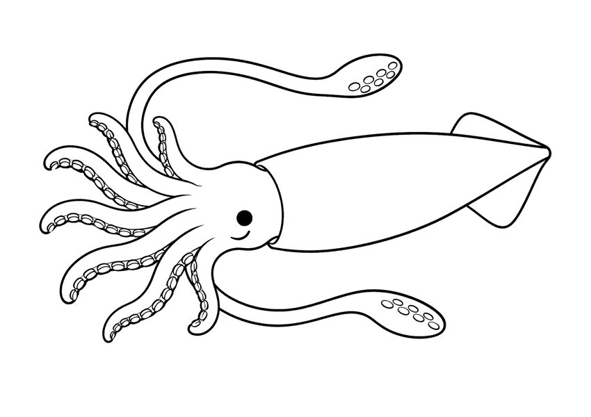 ダイオウイカの塗り絵