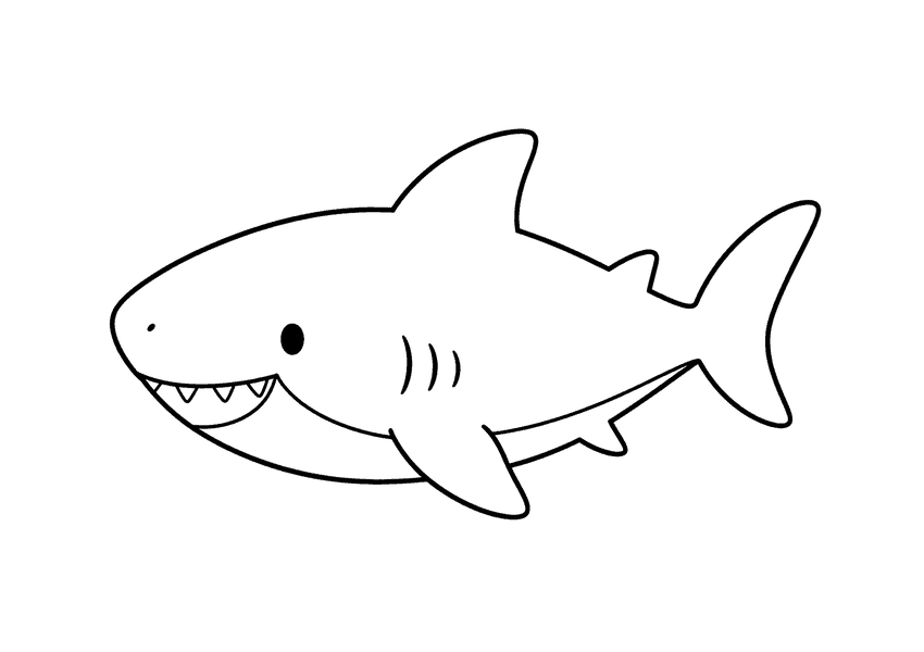 ホホジロザメの塗り絵