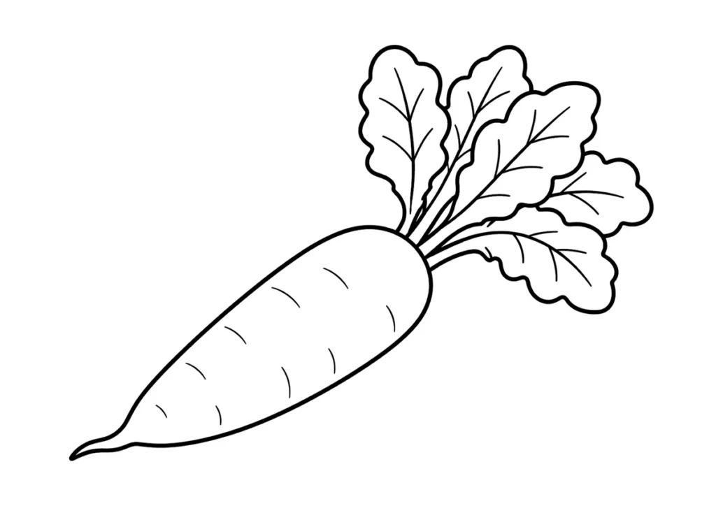 大根の塗り絵