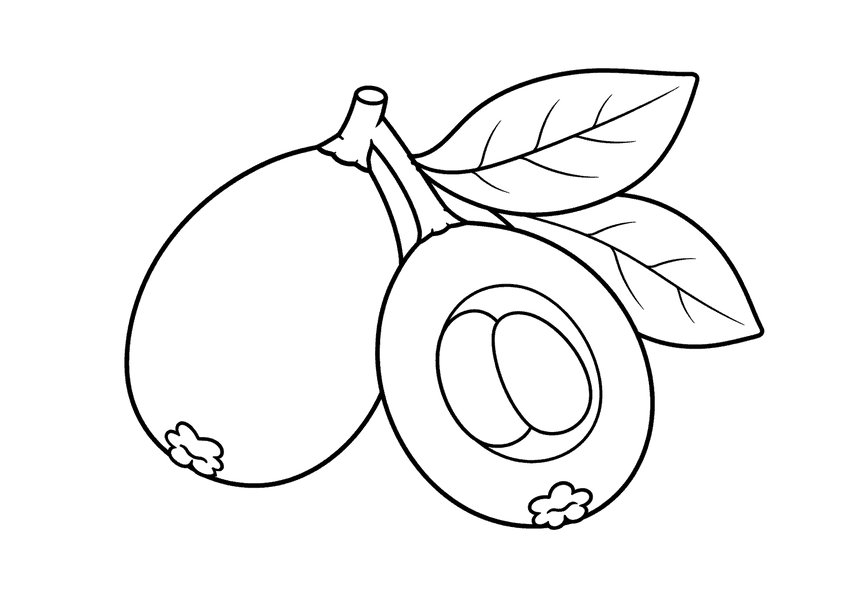 びわの塗り絵
