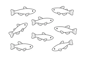 メダカの塗り絵