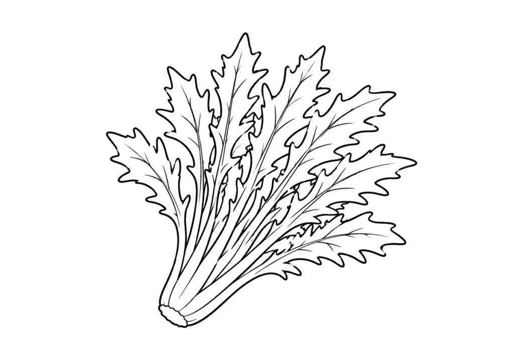 水菜の塗り絵