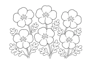 ネモフィラの塗り絵