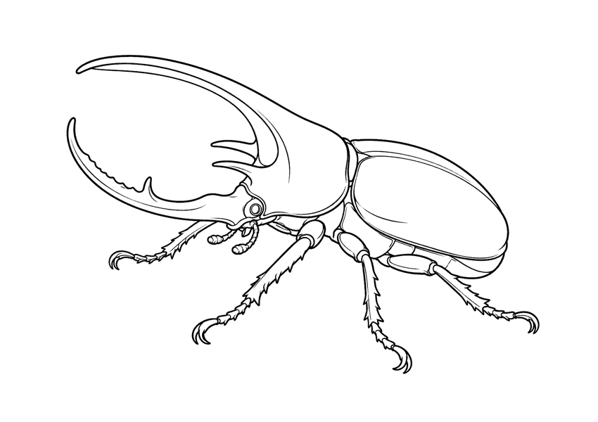 ネプチューンオオカブトの塗り絵