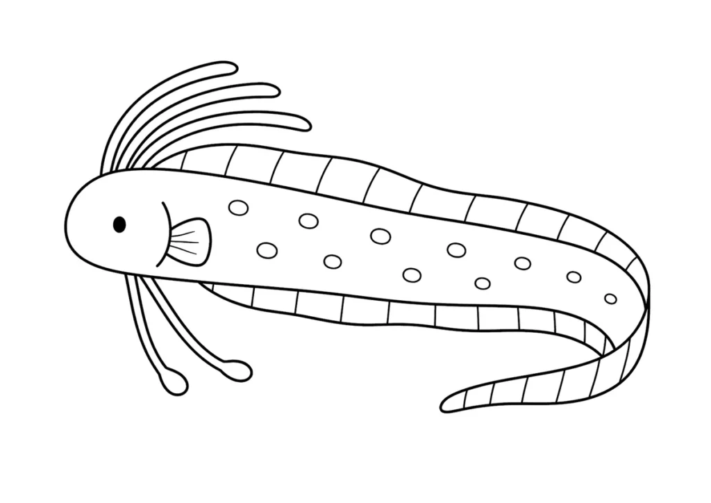 リュウグウノツカイの塗り絵