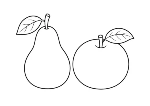 梨の塗り絵