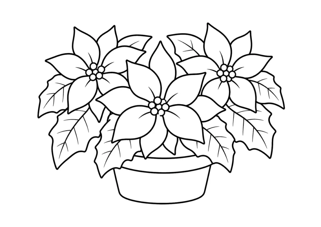 ポインセチアの塗り絵