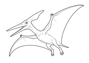 プテラノドンの塗り絵