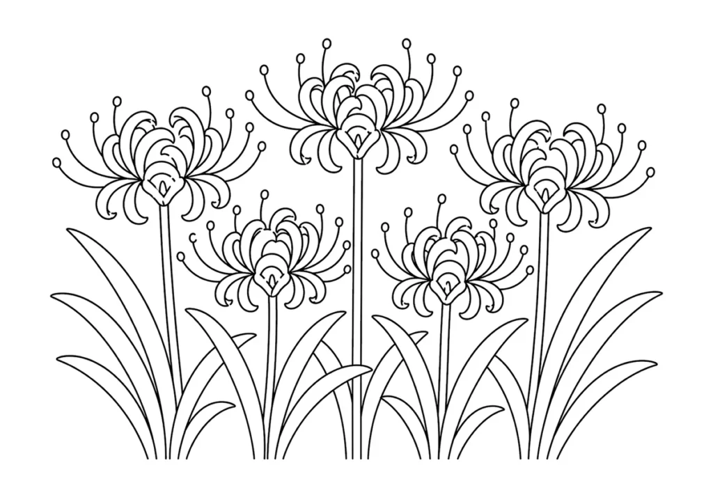 彼岸花の塗り絵
