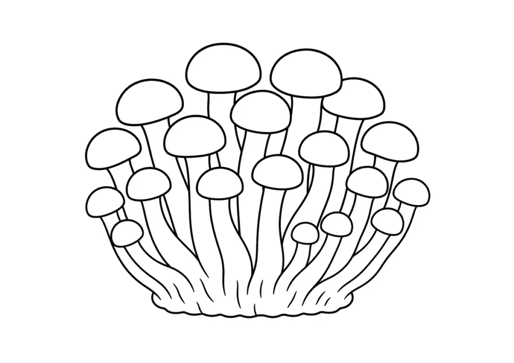 しめじの塗り絵