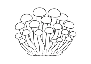 しめじの塗り絵