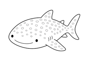 ジンベエザメの塗り絵
