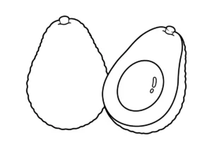 アボカドの塗り絵