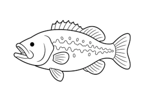 ブラックバスの塗り絵