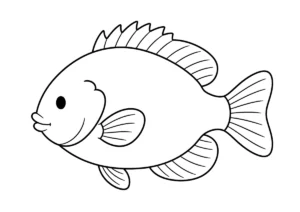 ブルーギルの塗り絵