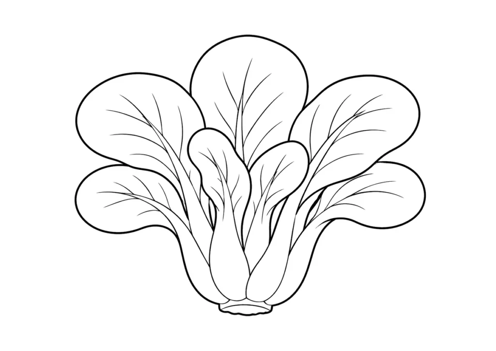 チンゲンサイの塗り絵