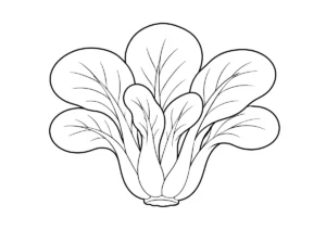 チンゲンサイの塗り絵