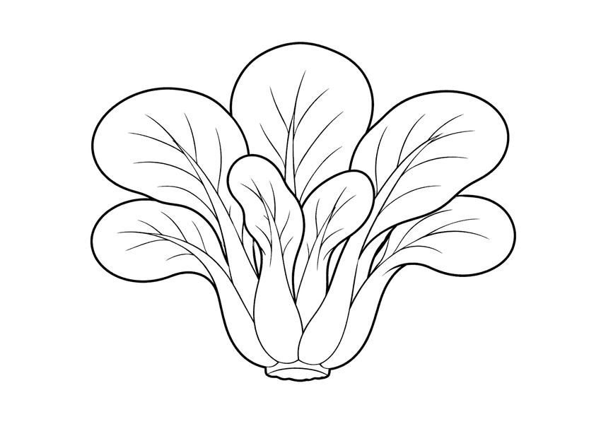 チンゲンサイの塗り絵