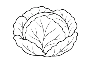 キャベツの塗り絵