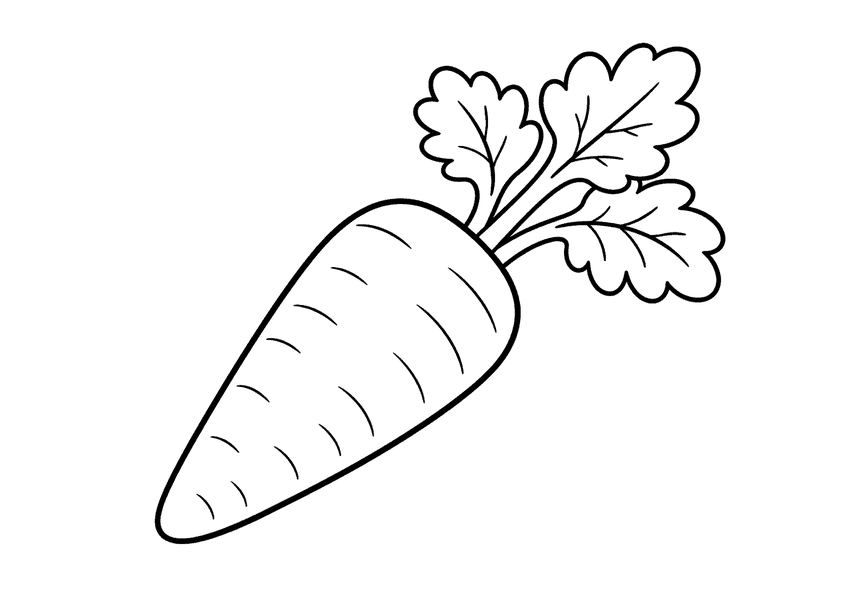 にんじんの塗り絵