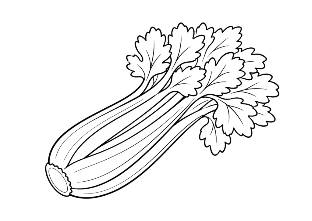 セロリの塗り絵