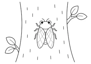 セミの塗り絵