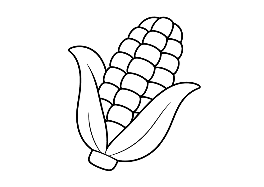とうもろこしの塗り絵