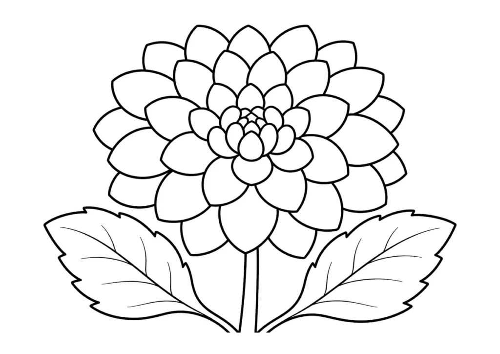 ダリアの塗り絵