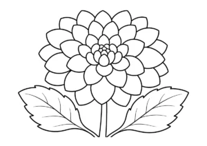 ダリアの塗り絵