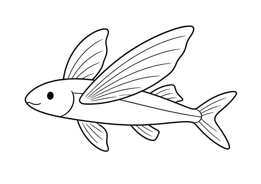 トビウオの塗り絵