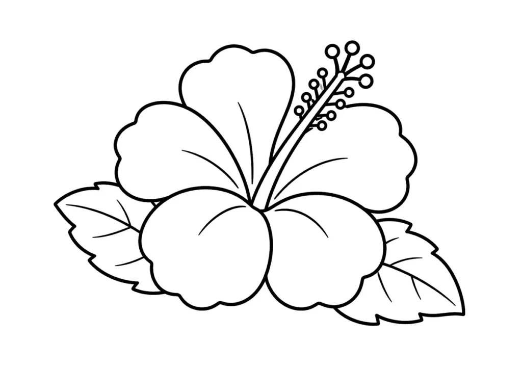 ハイビスカスの塗り絵