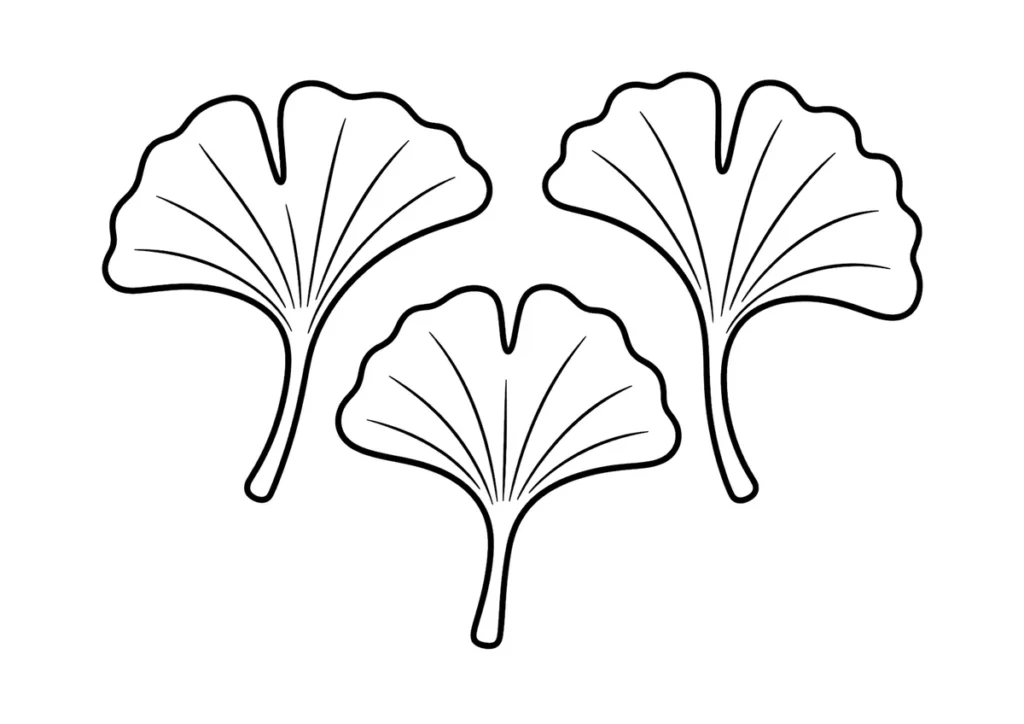 いちょうの塗り絵