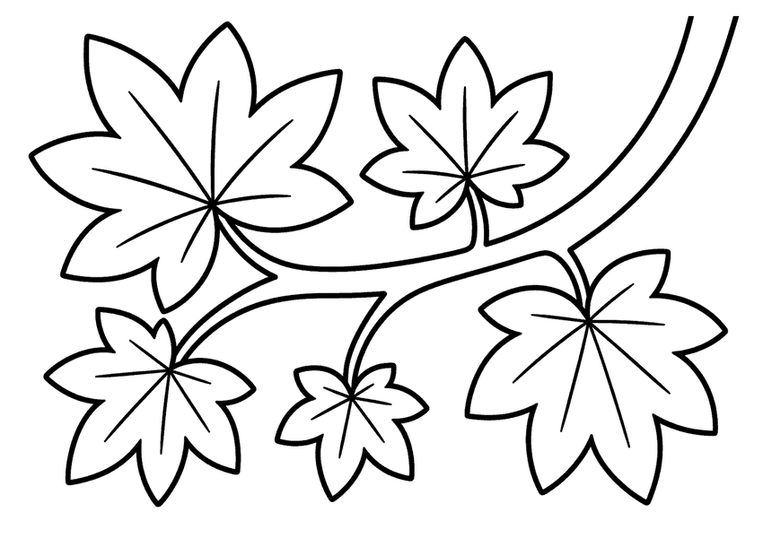 紅葉の塗り絵
