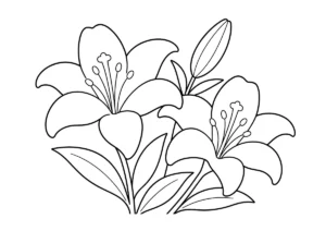 ユリの塗り絵