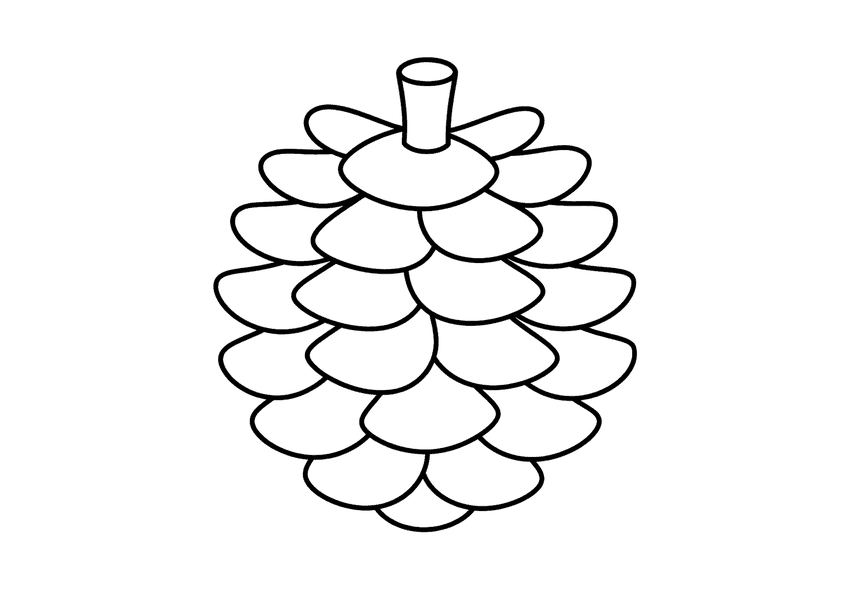 松ぼっくりの塗り絵