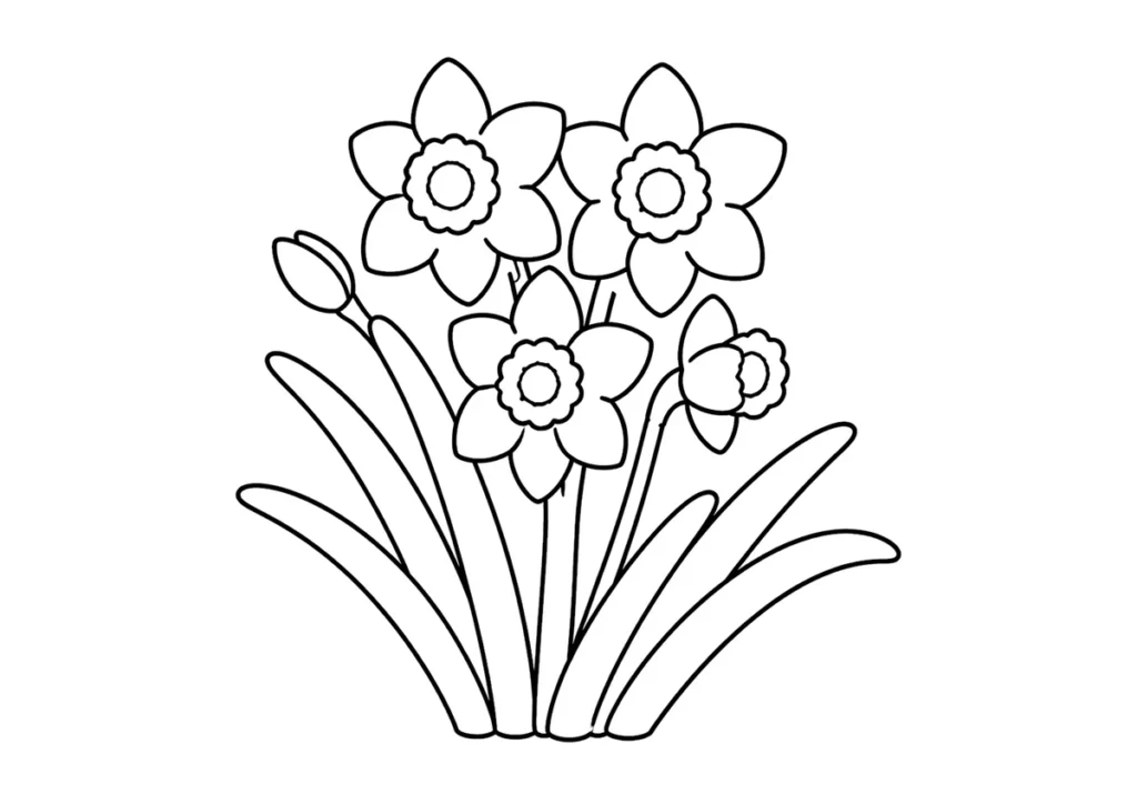 水仙の塗り絵